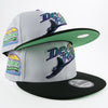 New Era Custom Exclusive Snapback 950 Tampa Bay Rays (Tropicana Field)