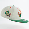 New Era Custom Exclusive Snap Back Tampa Bay Rays 10th Season Patch