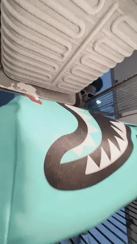 SPRAYGROUND SHARK CENTRAL ADRIATIC DLXSV BACKPACK